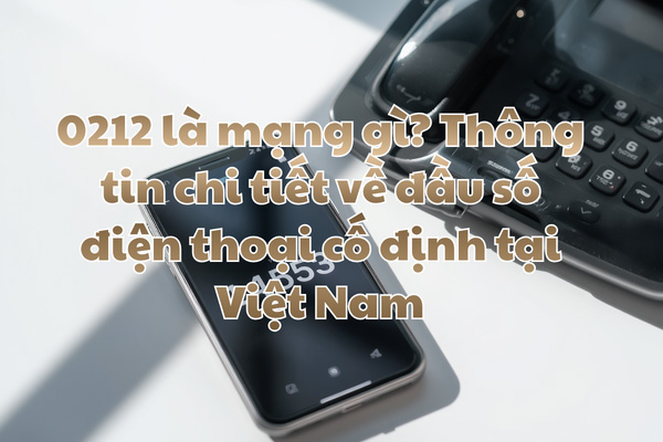 0212 là mạng gì? Thông tin chi tiết về đầu số điện thoại cố định tại Việt Nam