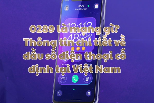 0289 là mạng gì? Thông tin chi tiết về đầu số điện thoại cố định tại Việt Nam
