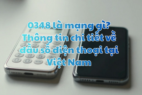 0348 là mạng gì? Thông tin chi tiết về đầu số điện thoại tại Việt Nam